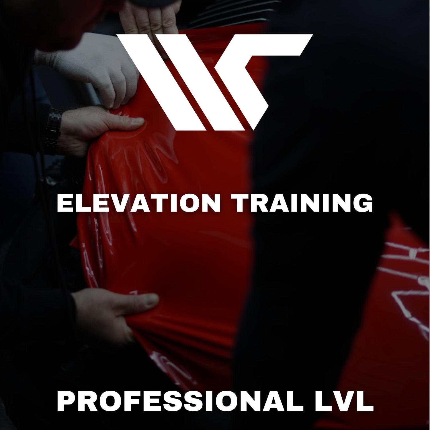 ELEVATION TRAINING - Professional level