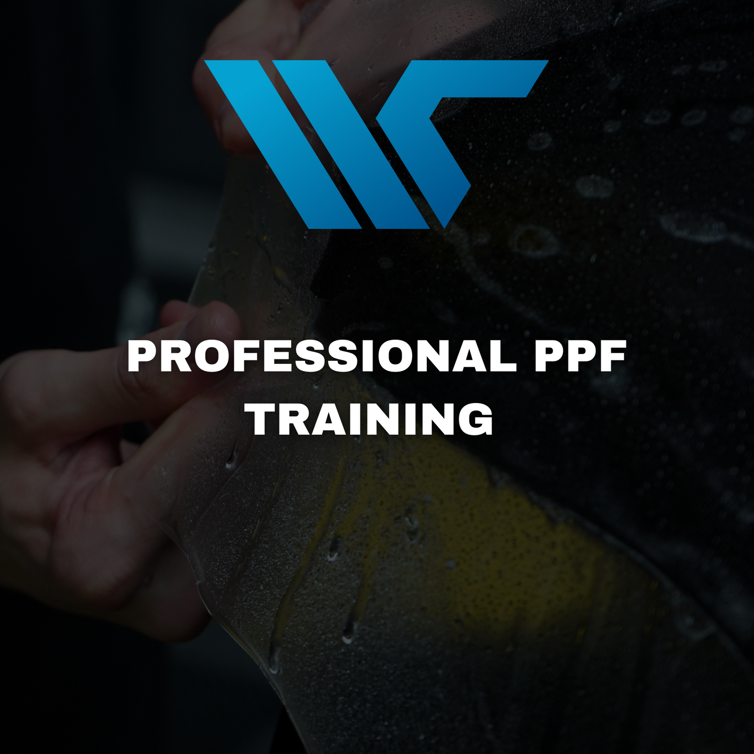 PROFESSIONAL PPF TRAINING