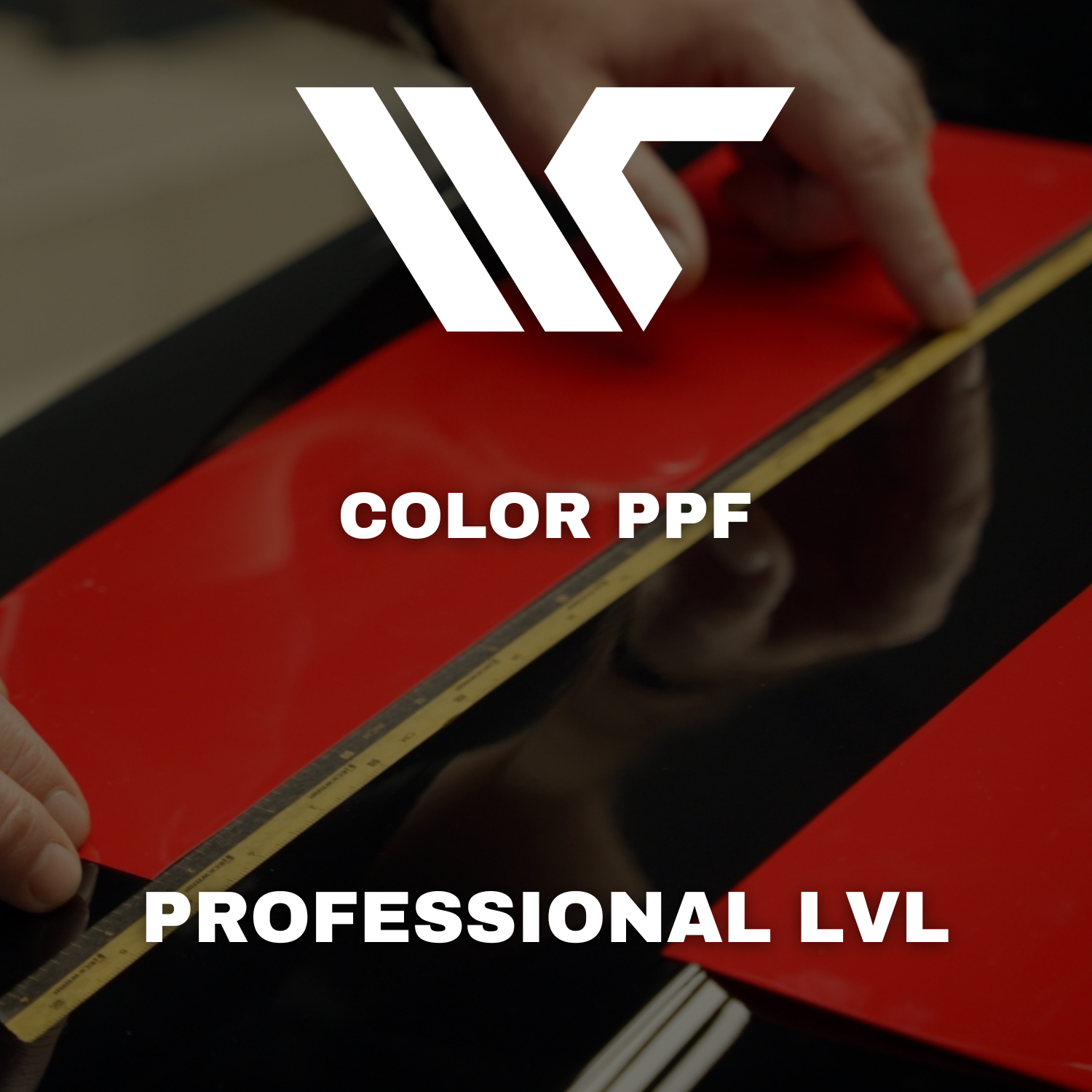 PROFESSIONAL COLOR PPF TRAINING